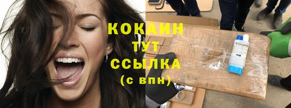 гашик Новокубанск