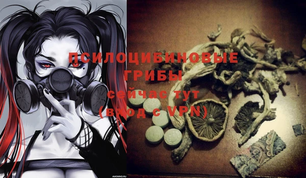 2c-b Гусь-Хрустальный