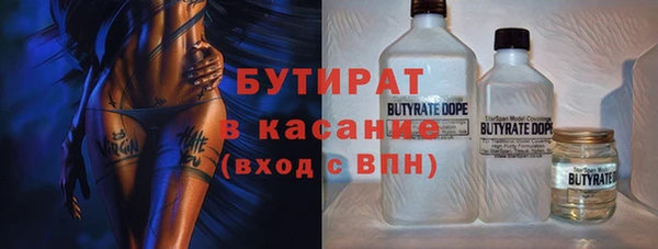 прущие грибы Дмитровск