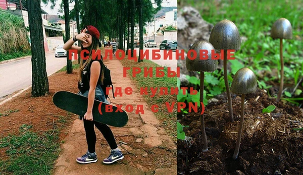 2c-b Гусиноозёрск