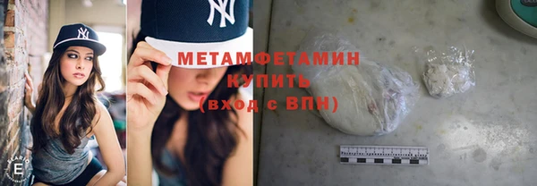 индика Новозыбков