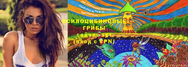 2c-b Гусиноозёрск