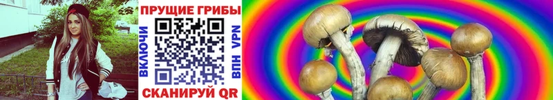 Галлюциногенные грибы GOLDEN TEACHER  Облучье 